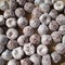 2011 HAIWAN RIPE MINI TUO PU-ERH TEA * 5 GRAMS EACH from Yunnan Sourcing