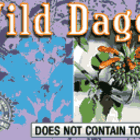 Wild Dagga (Leonotis leonurus) from Unknown