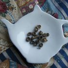 Jasmine Ring from Morning Glory Tea