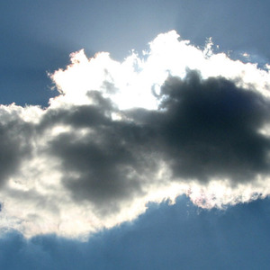 Silver Linings from Custom-Adagio Teas