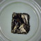 Experimental-Pressing Yue Guang Bai from Verdant Tea (Special)