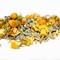Papa Bears Hibernation Blend from Della Terra Teas