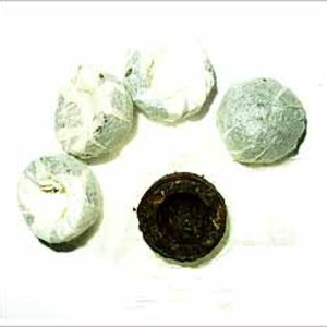Black Pu-erh Tuo Cha from Dragonwater