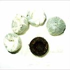 Black Pu-erh Tuo Cha from Dragonwater