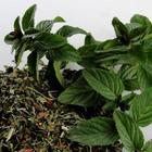 Dragon Mint from Grey Dog Tea