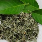 Citrus Morning from Grey Dog Tea