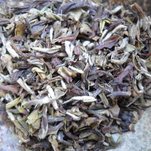 2012 Darjeeling Oolong Jungpana from sTEAp Shoppe