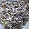 2012 Darjeeling Oolong Jungpana from sTEAp Shoppe