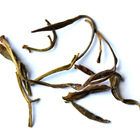Jin Zhu Mao Jian from San-thee