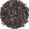 Darjeeling Highlands, First Flush 2012 Black Tea By Golden Tips Teas from Golden Tips Teas