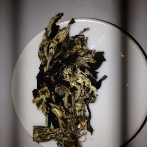 Moonlight White 2011 Pressed Cake from Verdant Tea