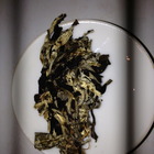 Moonlight White 2011 Pressed Cake from Verdant Tea