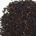 Florence from Spice Merchants