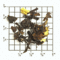 Apricot (TF-18) from Upton Tea Imports