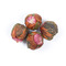 Himalayan Lover Tea By Golden Tips Teas from Golden Tips Teas