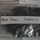 House Green by Tea Source from Tea Source