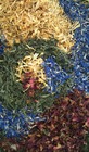 Sencha Morning Dew from Jeffersons Tea