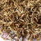2011 Gold Buds "Jin Ya" Early Spring Dian Hong Cha from Chawangshop