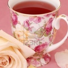 Rooibos Strawberry Cream no. 1381 from Tin Roof Teas