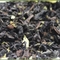 Oriental Beauty Earl Grey from Tealux