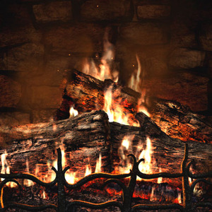 Winter Fire from Adagio Teas