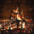 Winter Fire from Adagio Teas