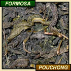 Jade Pouchong from Le Societe du The