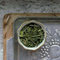 Green Glow Elixir from Marble & Milkweed