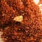 Vanilla Spice from Teajo Teas