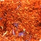 Wild Blueberry from Teajo Teas