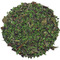 Parsley White Tea from Nature's Tea Leaf