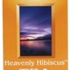 Heavenly Hibiscus from Now Foods