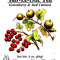 bar-le-duc from Eastern Shore Tea Company
