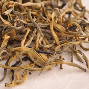 Autumn 2012 "Gao Li Gong Shan Gold Tips" Premium Yunnan Black from Yunnan Sourcing