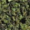 2012 Autumn "Premium Jin Guan Yin" Anxi Oolong Tea from Yunnan Sourcing