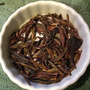 Master Han's Ancient Forest Yabao from Verdant Tea (Special)