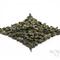 2011 Winter Ali Shan 1200m Elev from Norbu Tea