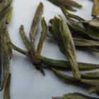 Tingxi Orchid Green from tea-adventure