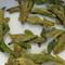 Long Jing from tea-adventure