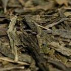 Sencha from MysTea