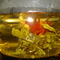 3 Flower Burst Tea from Cuppa'T Specialty Teas