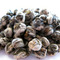 Downy Pearls from TeaSource