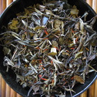 White Ambrosia from Spice Hut