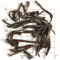 Idulgashinna Estate OP1 Organic (TC82) from Upton Tea Imports