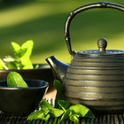 Tea cultivation from Indian Tea Industries