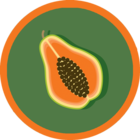 Kava Pawpaw from Handmade Tea