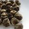 Jasmine Dragon Pearls from tea-adventure