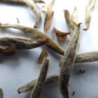 Jasmine Silver Needle (King Grade) from tea-adventure