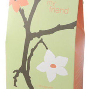 My Friend from Bag Ladies Tea