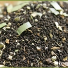 Shiva Chai from Tealux